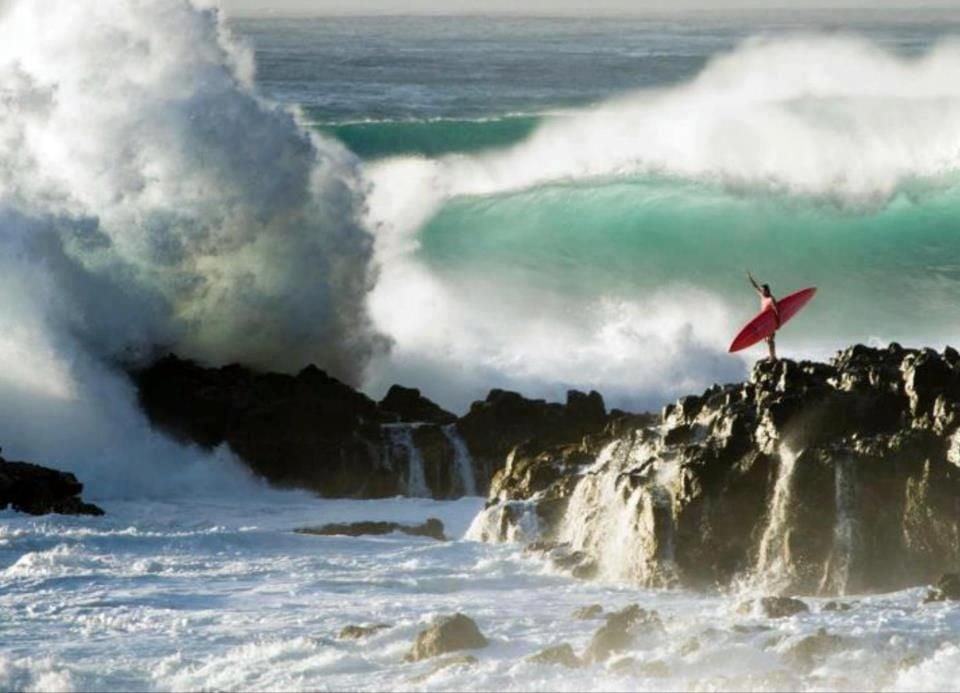 Coconut Harry's Surf Shop