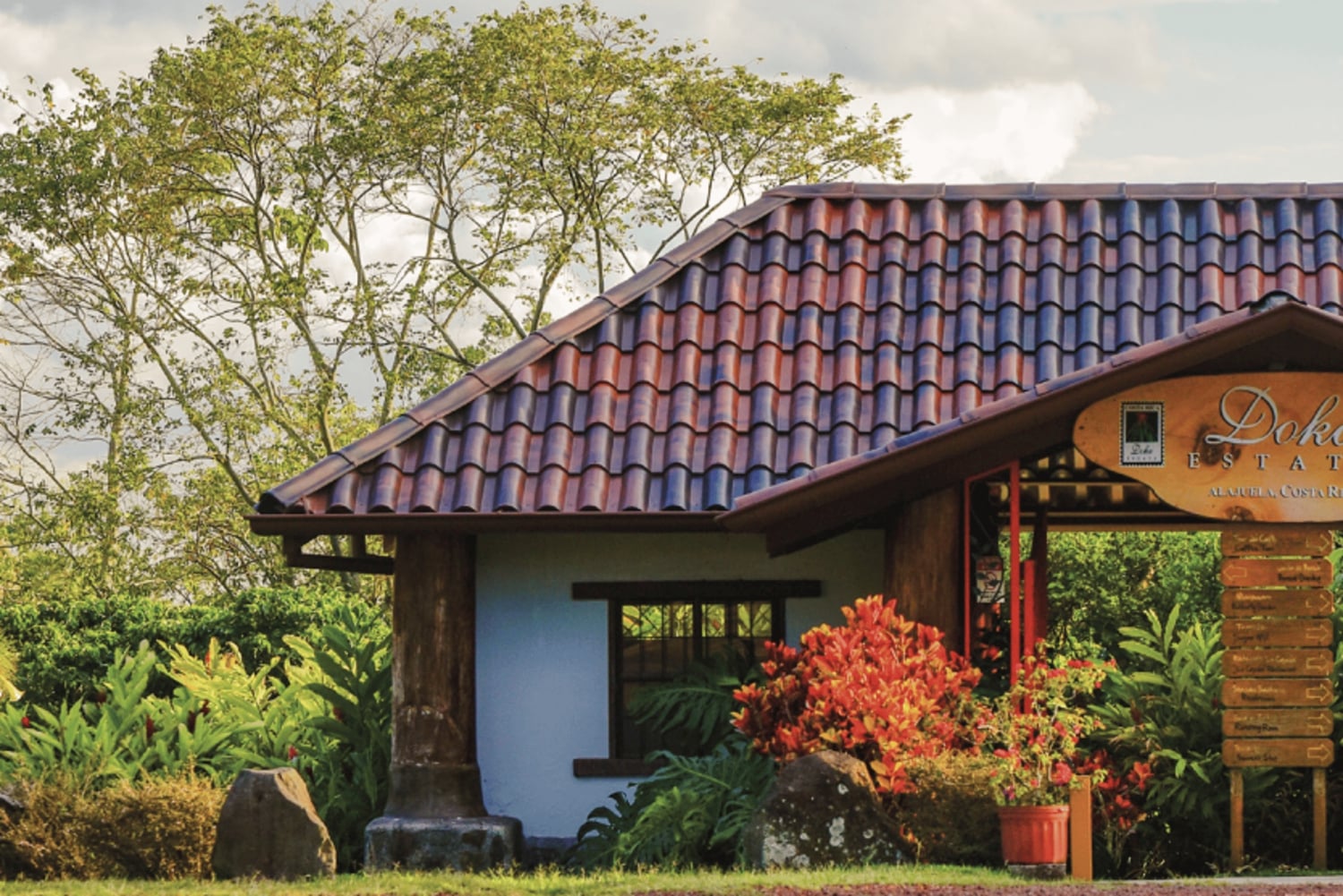 Coffee Farm tour, Poas Volcano Park and La Paz Waterfall