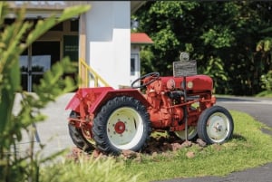 Coffee Farm tour, Poas Volcano Park and La Paz Waterfall