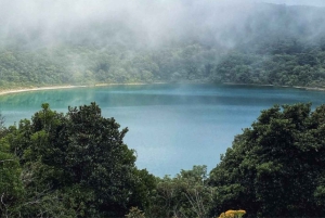 Coffee Farm tour, Poas Volcano Park and La Paz Waterfall