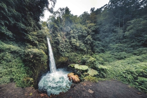 Coffee Farm tour, Poas Volcano Park and La Paz Waterfall