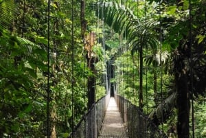Fortuna Combo: Hanging Bridges + Arenal Volcano & Waterfall