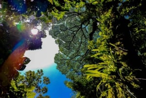 Fortuna Combo: Hanging Bridges + Arenal Volcano & Waterfall