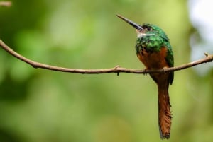 La Fortuna: Pontes suspensas, cachoeira e viagem ao vulcão Arenal