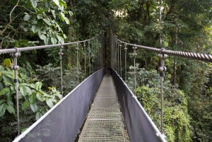 Combo Arenal: Waterfalls, Hanging Bridges, Thermal Spa