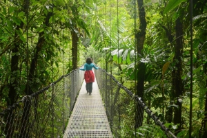 Combo Arenal: Cascadas, Puentes Colgantes, Balneario Termal