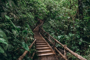 Combo Arenal: Cascadas, Puentes Colgantes, Balneario Termal