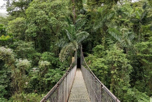 Combo Arenal : Chutes d'eau, ponts suspendus, station thermale