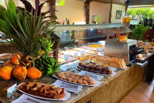 Combo Arenal : Chutes d'eau, ponts suspendus, station thermale