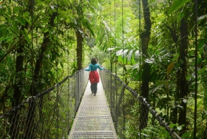 Combo Arenal : Chutes d'eau, ponts suspendus, station thermale