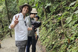 Combo Arenal : Chutes d'eau, ponts suspendus, station thermale