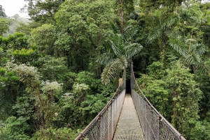 Combo Arenal : Chutes d'eau, ponts suspendus, station thermale