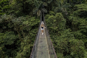 Combo Arenal : Chutes d'eau, ponts suspendus, station thermale