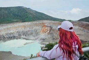 Visita a uma fazenda de café, ao Parque do Vulcão Poas e à Cascata La Paz