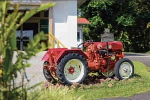 Visita a uma fazenda de café, ao Parque do Vulcão Poas e à Cascata La Paz