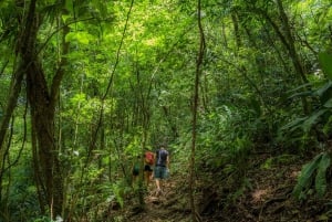 Combo La Fortuna Waterfall and Volcano Hike & Hotsprings