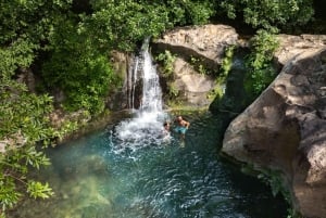 Kombinasjon: Lunsj + Las Chorreras-fossen + Blue Ponds + Hotspring