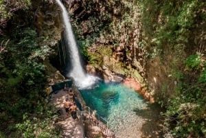 Combo: Lunch + Oropendola waterfall