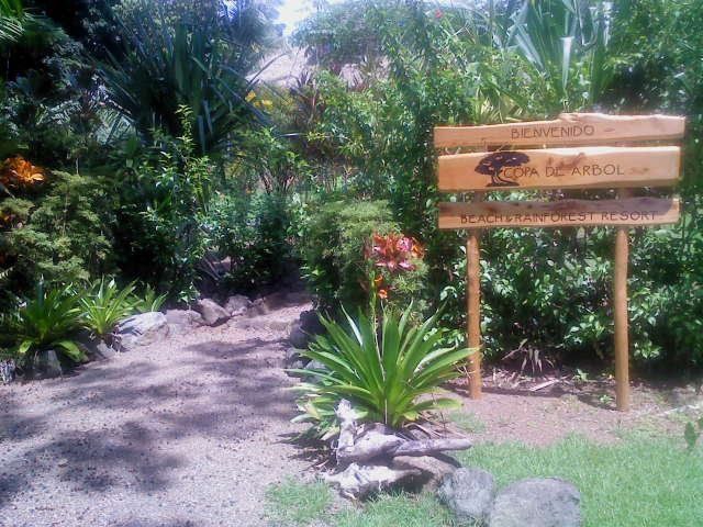 Copa de Arbol Beach & Rainforest Resort