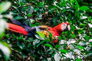 Corcovado National Park - 2 nights tour Sirena Station