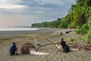 Parco Nazionale del Corcovado: Tour d'avventura con pernottamento - 2 giorni