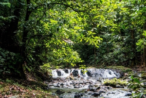 Parco Nazionale del Corcovado: Tour d'avventura con pernottamento - 2 giorni