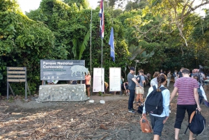 Parco Nazionale del Corcovado: Tour d'avventura con pernottamento - 2 giorni