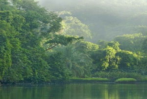 Parco Nazionale del Corcovado: Tour d'avventura con pernottamento - 2 giorni