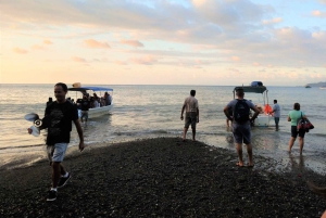 Parque Nacional do Corcovado: Passeio de Aventura com pernoita - 2 dias