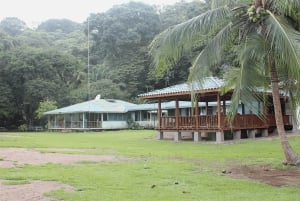 Parque Nacional do Corcovado: Passeio de Aventura com pernoita - 2 dias