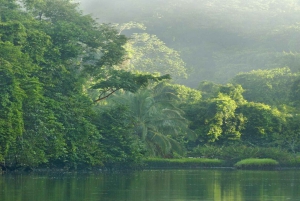 Parque Nacional do Corcovado: Passeio de Aventura com pernoita - 2 dias