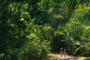 Corcovado National Park: Guided Hiking Tour - Full Day