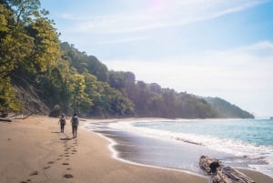 Corcovado National Park: Guided Hiking Tour - Full Day