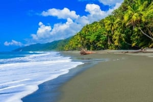 Corcovado National Park: Guided Hiking Tour - Full Day