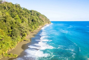 Corcovado National Park: Guided Hiking Tour - Full Day