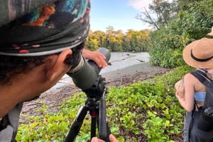 From Puerto Jimenez: Corcovado National Park Full-Day Tour