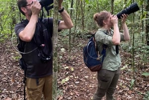 From Puerto Jimenez: Corcovado National Park Full-Day Tour