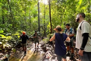 From Puerto Jimenez: Corcovado National Park Full-Day Tour