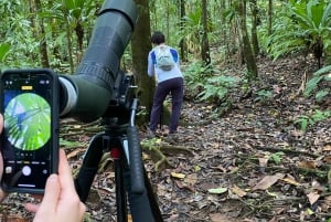 From Puerto Jimenez: Corcovado National Park Full-Day Tour