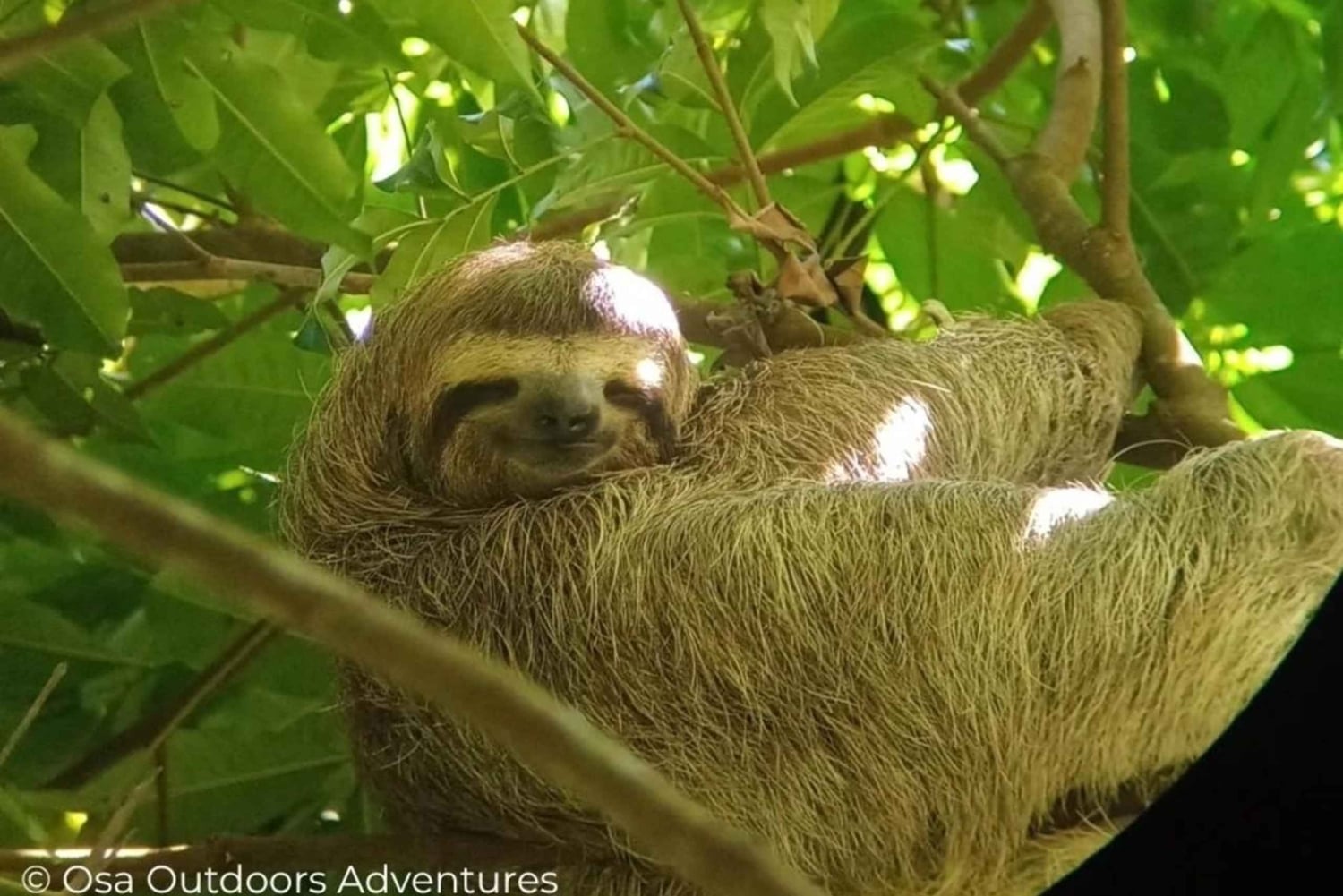 Parque Nacional Corcovado: Experiencia Privada para Parejas 2D 1N