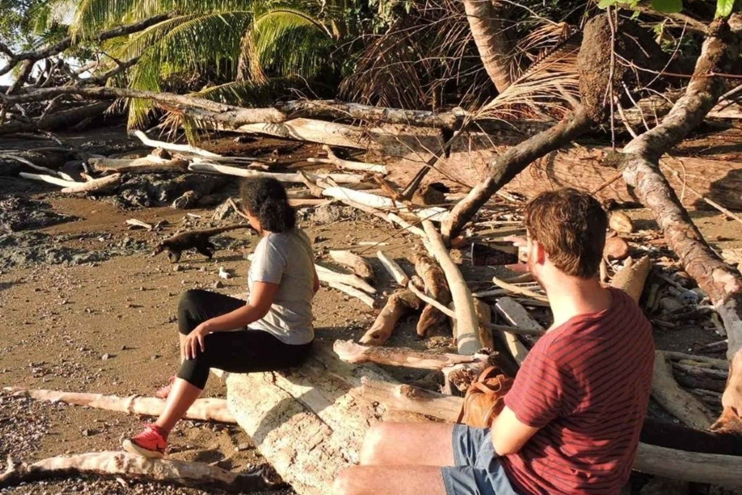 Parque Nacional Corcovado: Experiencia Privada para Parejas 2D 1N