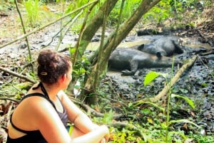 Parque Nacional Corcovado - Estação San Pedrillo - 1 dia