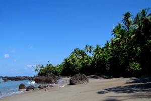 Corcovado National Park: Sirena Day Tour Drake Bay-Corcovado