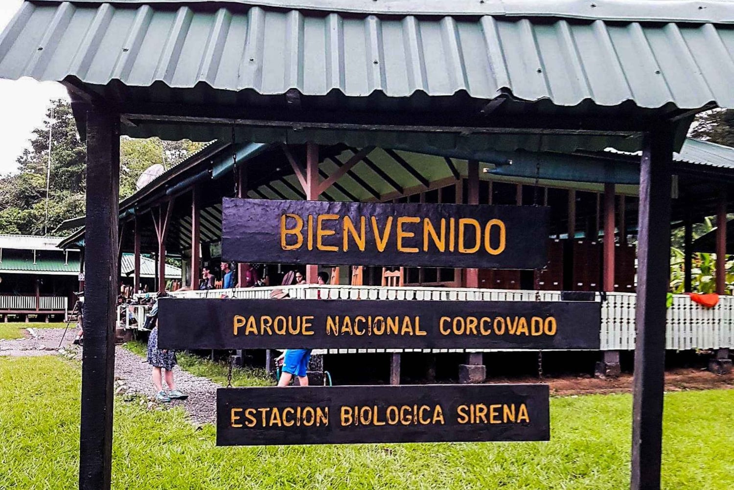 Parque Nacional del Corcovado- Estación Sirena/San Pedrillo - 1 Día