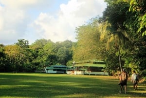 Parque Nacional Corcovado - Estação Sirena/San Pedrillo - 1 dia