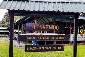 Parque Nacional del Corcovado- Estación Sirena/San Pedrillo - 1 Día
