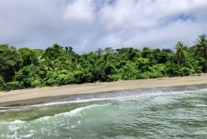 Parque Nacional del Corcovado- Estación Sirena/San Pedrillo - 1 Día