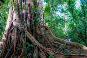 Parque Nacional del Corcovado- Estación Sirena/San Pedrillo - 1 Día