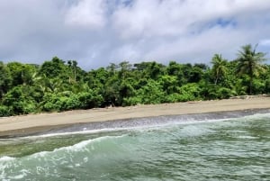 Puntarenas: Corcovado National Park and Sirena Station Tour