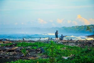 Puntarenas: Corcovado National Park and Sirena Station Tour